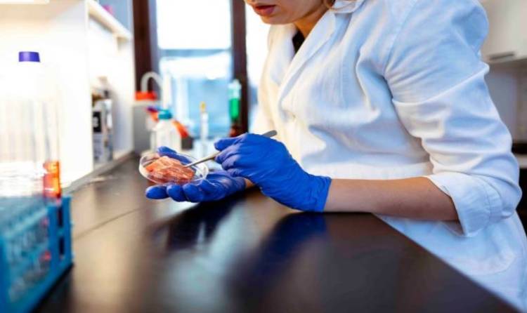 2024年德国科隆国际食品技术和机械展览会：与BALProeV的合作