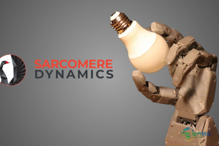 伙伴国出手相助！