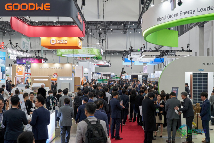 2025绿色能源博览会班加罗尔开幕，展示可持续能源未来图景