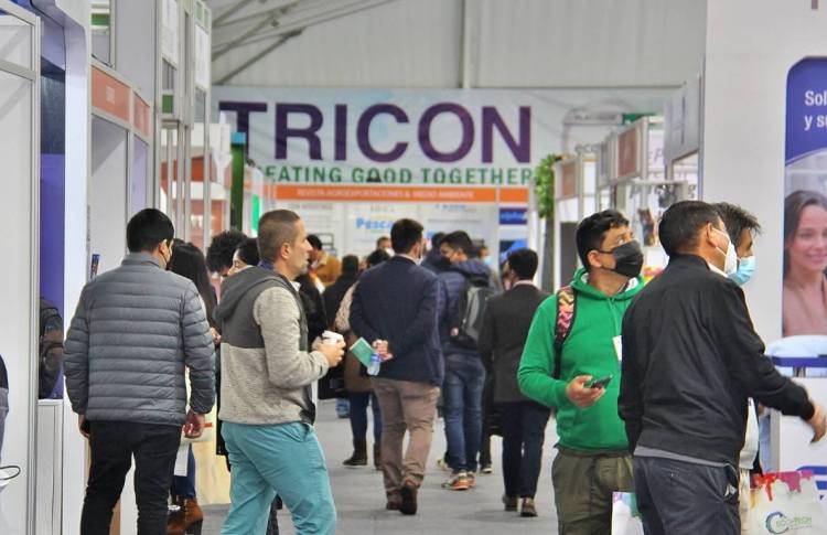 2025秘鲁利马国际包装及塑料展览会，推动秘鲁包装行业迈向新高度