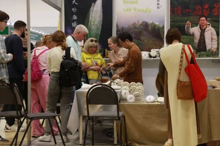 陈府白茶2025俄罗斯巡展：莫斯科·圣彼得堡