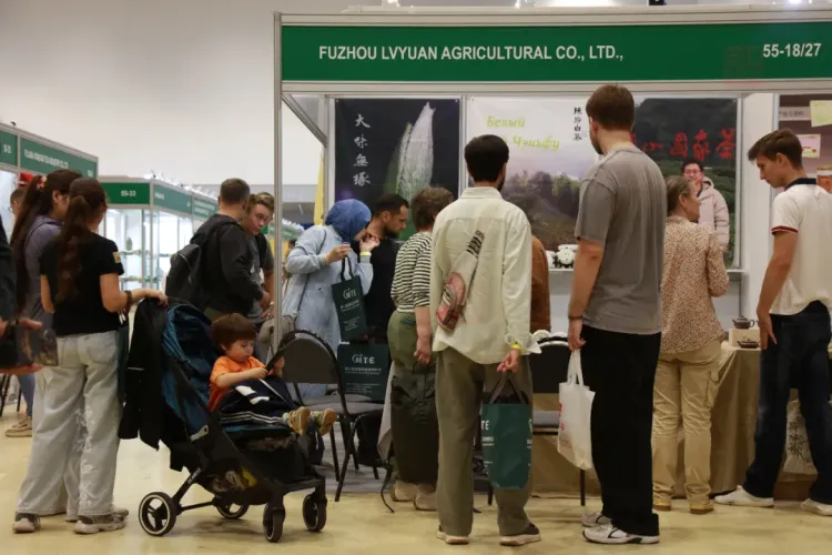 陈府白茶2025俄罗斯巡展：莫斯科·圣彼得堡