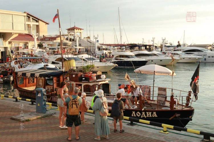 陈府白茶2025俄罗斯巡展：莫斯科·圣彼得堡