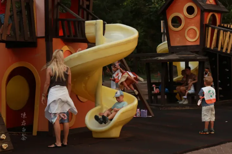 陈府白茶2025俄罗斯巡展：莫斯科·圣彼得堡