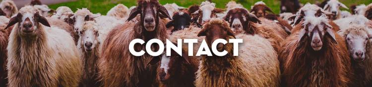 法国图尔国际农业和美食展览会访客与参展指南