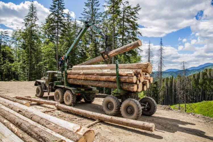 2025年俄罗斯莫斯科国际木工设备及家具配件展览会：把握行业机遇，拓展商业版图