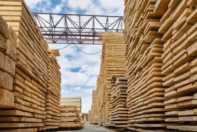 2025年俄罗斯莫斯科国际木工设备及家具配件展览会：把握行业机遇，拓展商业版图