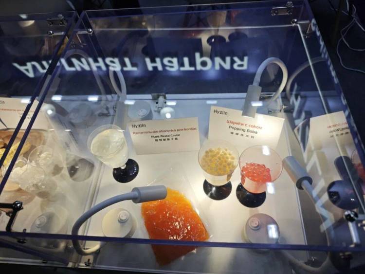 俄罗斯国际食品工业展Agroprodmash 2025首日直击丨海之林创新亮相