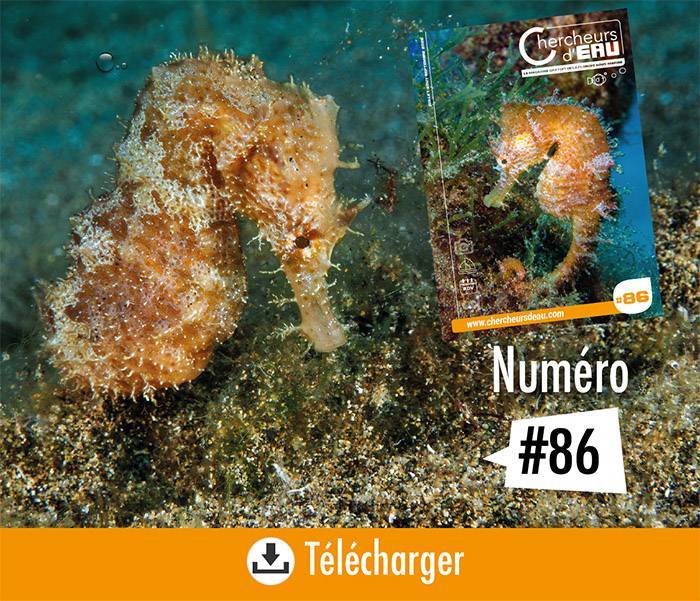 2026年巴黎潜水展：全新《水下探索者》杂志发布