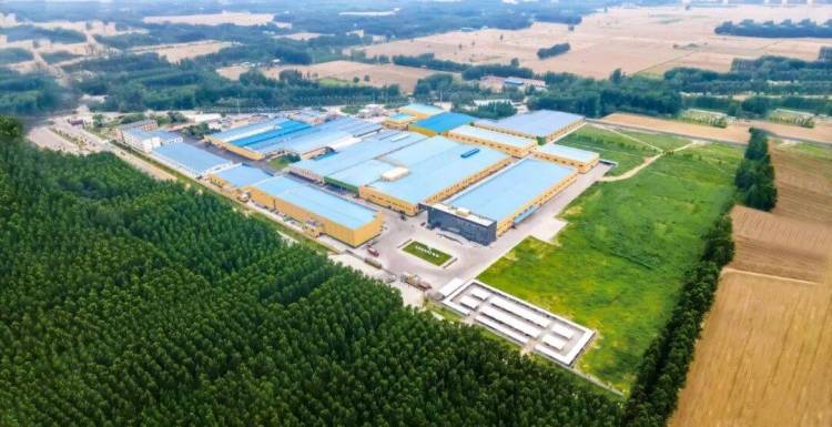 史上最大全球食品展|开创食品亮相ANUGA 2025科隆国际食品展