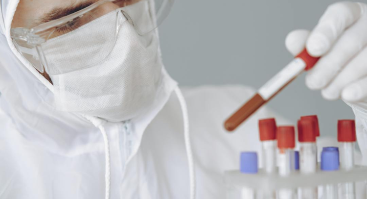 打印未来，纸为创新——仙鹤西班牙Labelexpo Europe 2025展会全视角预告，邀您见证品质革命！