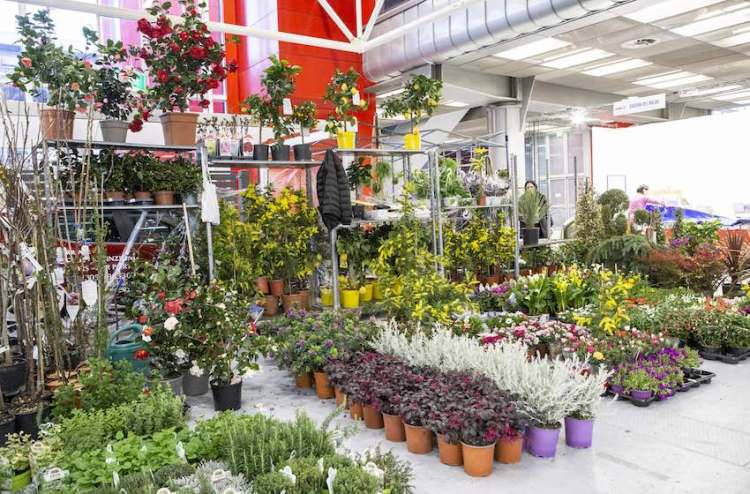 2025年博洛尼亚自由时间沙龙展会盛大开幕——意大利费拉拉休闲度假展