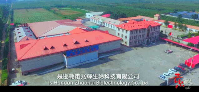 【兆辉食品】展会邀请 | 诚邀您参加“2025德国科隆国际食品及饮料展览会（ANUGA）”！