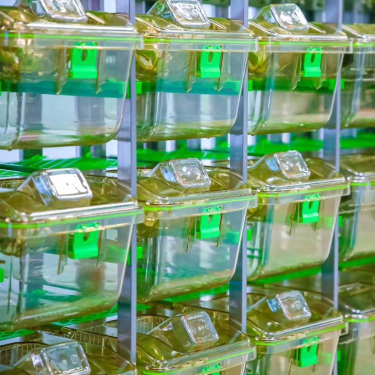 慕尼黑上海分析生化展览会：analytica China 2026聚焦实验室全生命周期创新与智能化