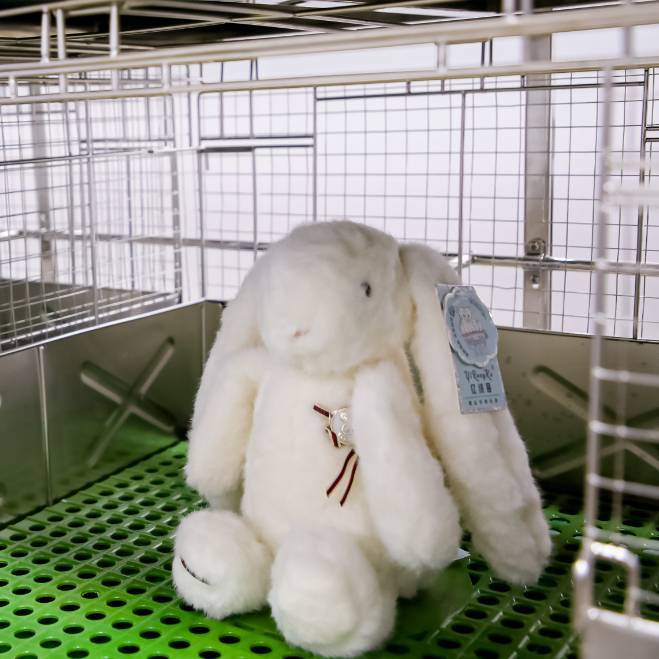 慕尼黑上海分析生化展览会：analytica China 2026聚焦实验室全生命周期创新与智能化