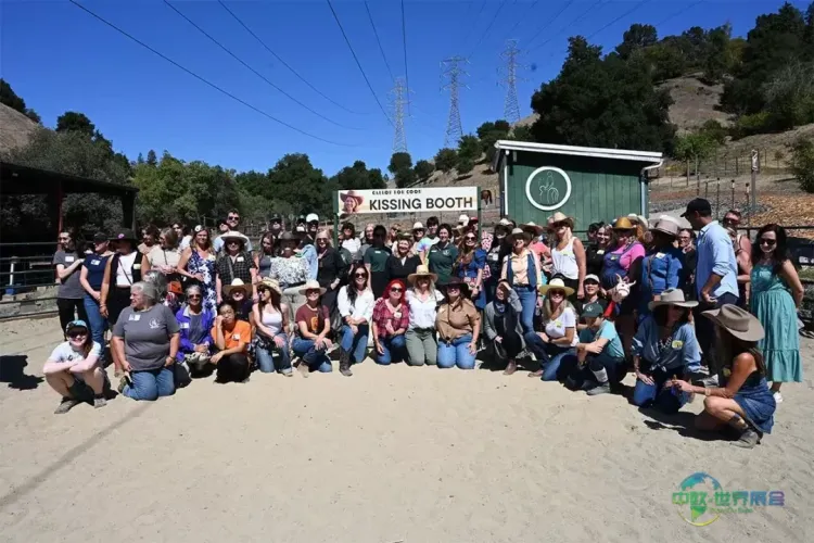 会展业资深人士发起