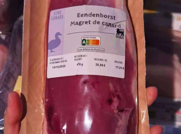 【集团资讯】史上最大全球食品展｜圣沣食品集团重磅亮相ANUGA 2025科隆国际食品展