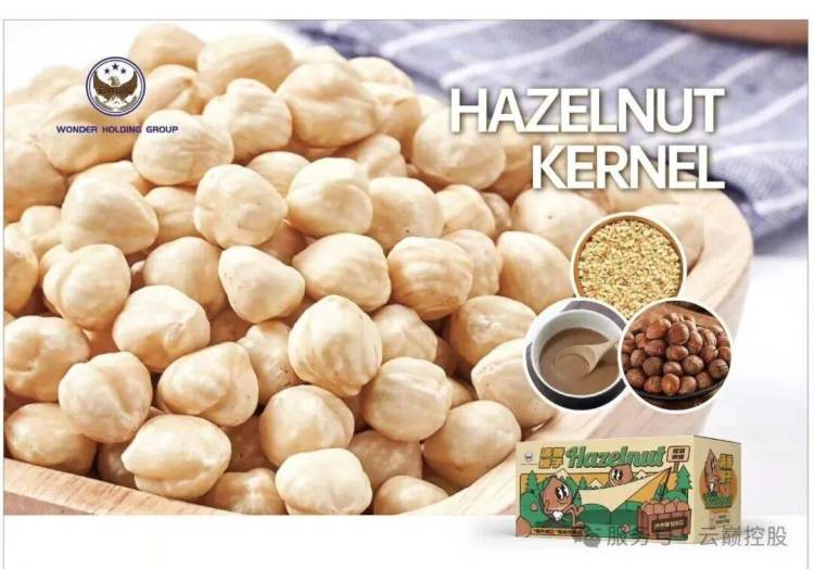 云巅控股圆满亮相德国 Anuga 2025