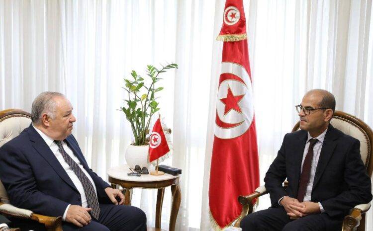 2025年突尼斯斯法克斯国际建材展：MEDIBAT沙龙成会谈焦点