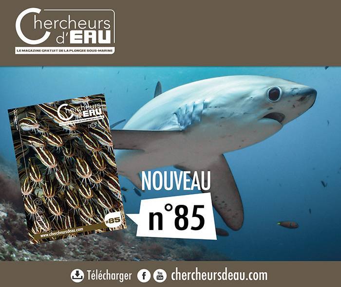 2026年巴黎潜水展，最新一期《水下探索者》杂志发布