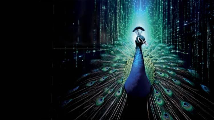 德国纽伦堡SPS Expo：引领全球自动化行业盛会