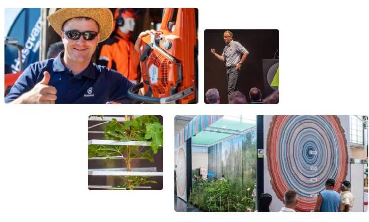 2026年国际林业工业展览会信息概览——德国慕尼黑木业展