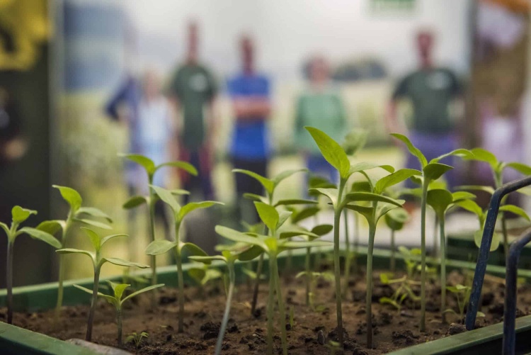 德国莱比锡农展：agra 2026植物育种与生产技术盛会