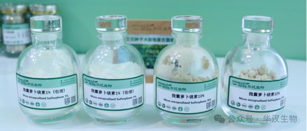 展会邀请 | 华汉生物邀您共赴2025年美国国际天然、健康和创新原料展览会（SupplySide Global 2025）