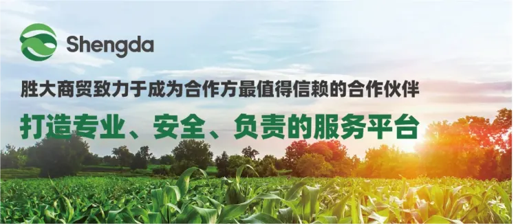 展会邀请 | 青岛市胜大商贸与您相约SupplySide Global 2025,共探食品级原料的创新趋势与无限潜力!