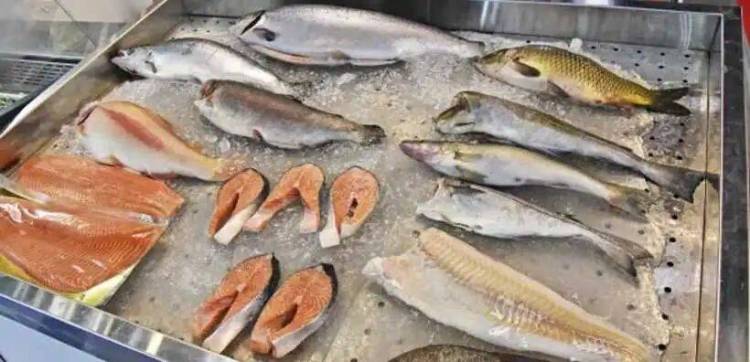 渔船大王2025年俄罗斯海鲜博览会即将开启！