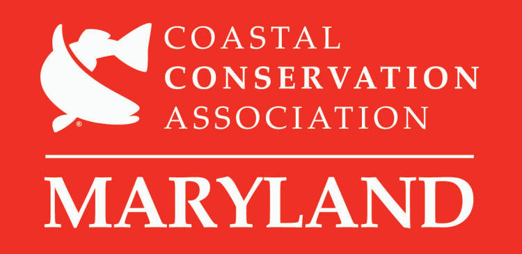 2026年春安那波利斯国际船舶展览会即将开启