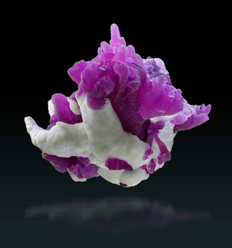 欧洲矿藏宝库：慕尼黑展揭示自然资源多样性