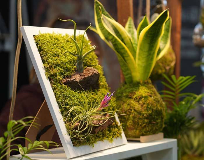 2025费拉拉休闲和度假展览会：Bologna举办Liberamente展会三天吸引逾两万参观者