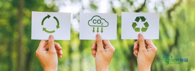 从A.I.S.E.倡导有效监管中获得的启示