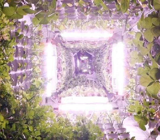 2025年波代诺内国际农业技术展圆满落幕