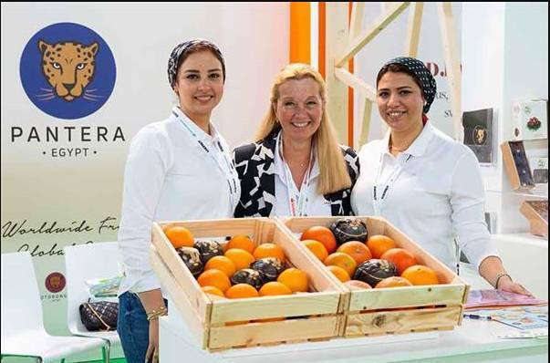 意大利里米尼国际果蔬种植技术展览会 Macfrut 2025国际芦笋日与国际浆果日联手办大型活动