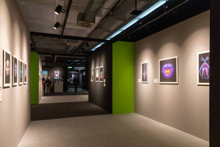 2025年意大利米兰国际奢侈品和化妆品包装展览会：创新引领未来