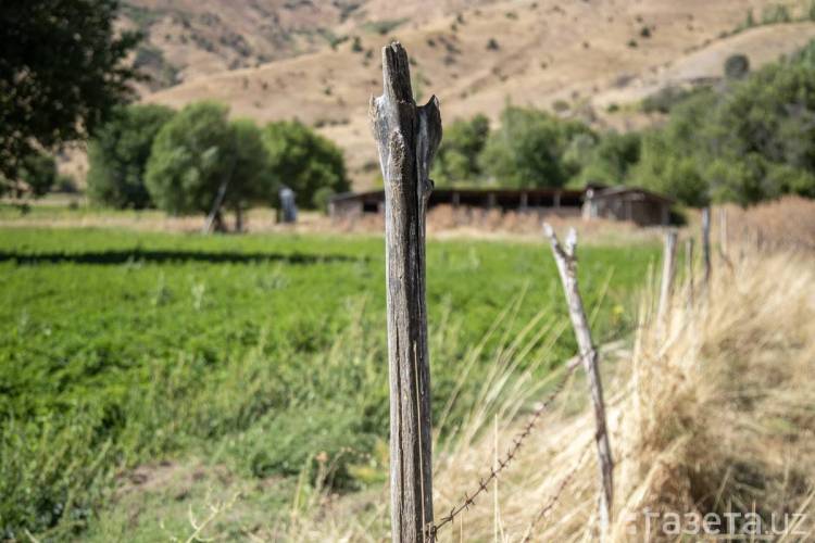 2026年塔什干国际农业展聚焦水资源管理现代化