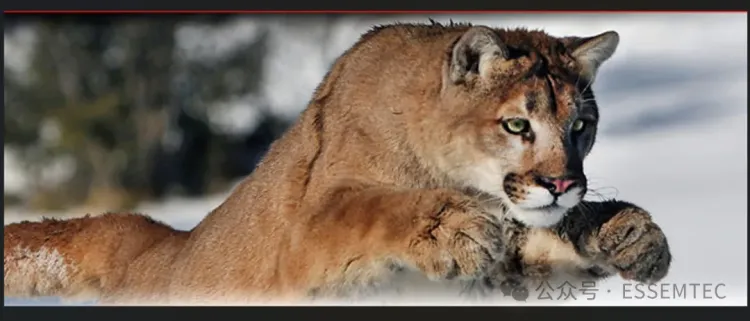 睿准科技Essemtec 以“丛林智慧”致敬德国慕尼黑国际电子生产设备展Productronica 50周年