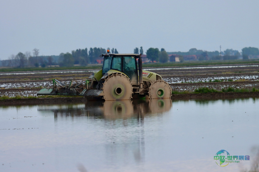 AQD-flooding-pexels-koto