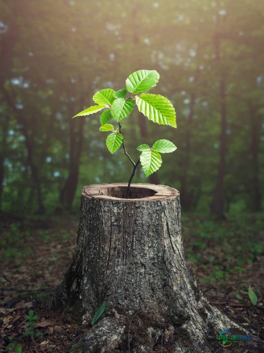 美国路易斯安那州新奥尔良国际灌溉展览会 Irrigation Show 2025即将举行