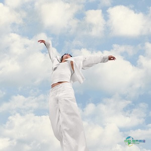 潘通2026年度代表色近乎留白