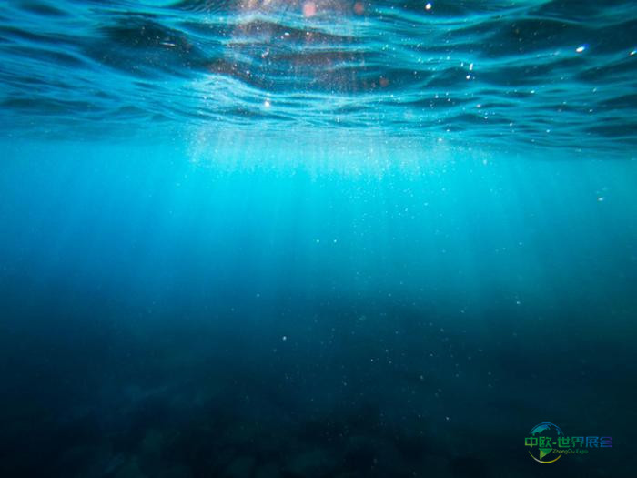 海底局部景观