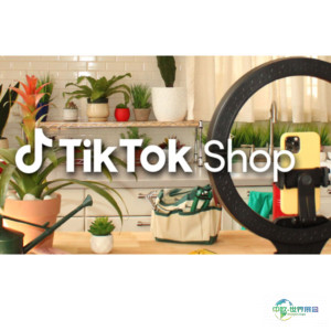 TikTok创下黑色星期五周末销售新纪录