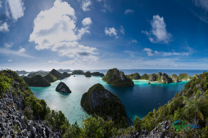 2026巴黎海洋沙龙：探索深海奇观