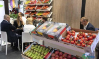 2025年水果展增长5%，预计汇聚超2500家企业及12万专业人士