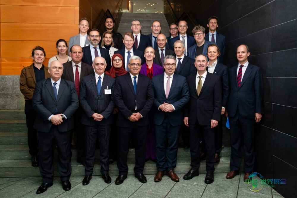 ALTEH2A启动阿尔及利亚氢气进口可行性研究