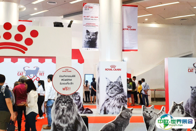 2025泰国猫展举办时间与地点