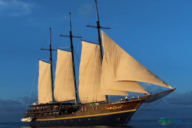 2026巴黎海洋沙龙：水下世界盛宴