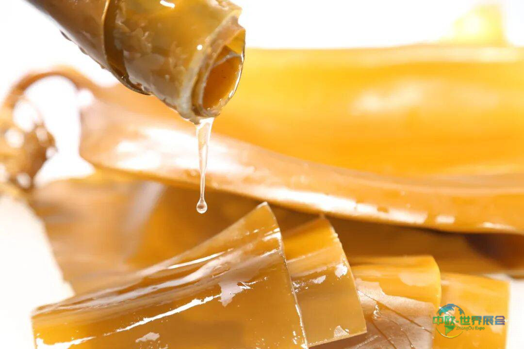 明月海藻展会回顾｜Fi Europe 2025欧洲食品配料展圆满落幕，下一站：法兰克福！